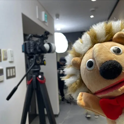 撮影機材とパペット
